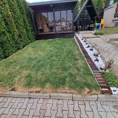 Dukic * 즐라티보